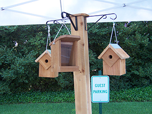 Bird Houses by George Burkett